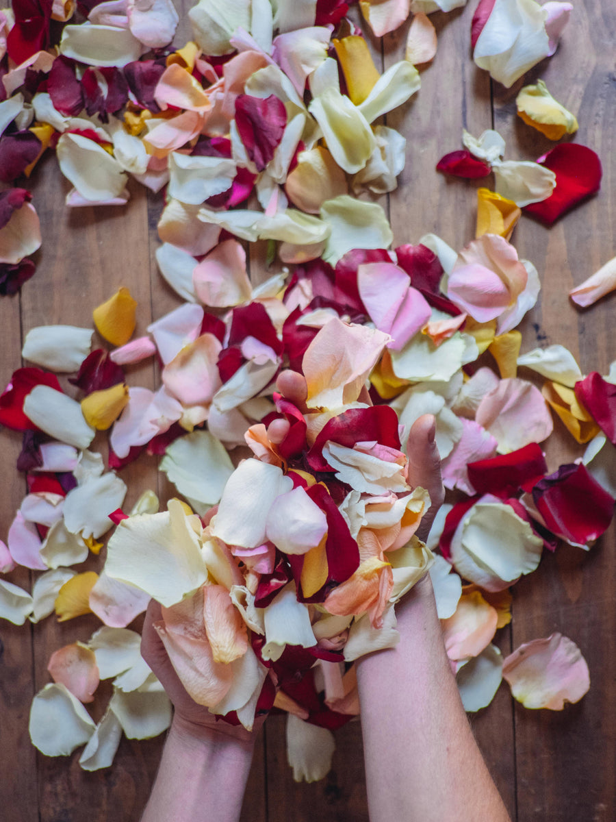 Petalos De Rosas