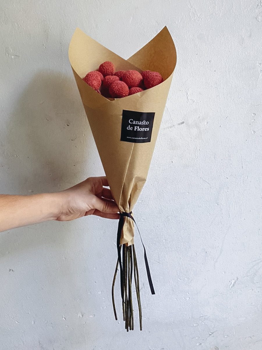 Craspedias Rosadas