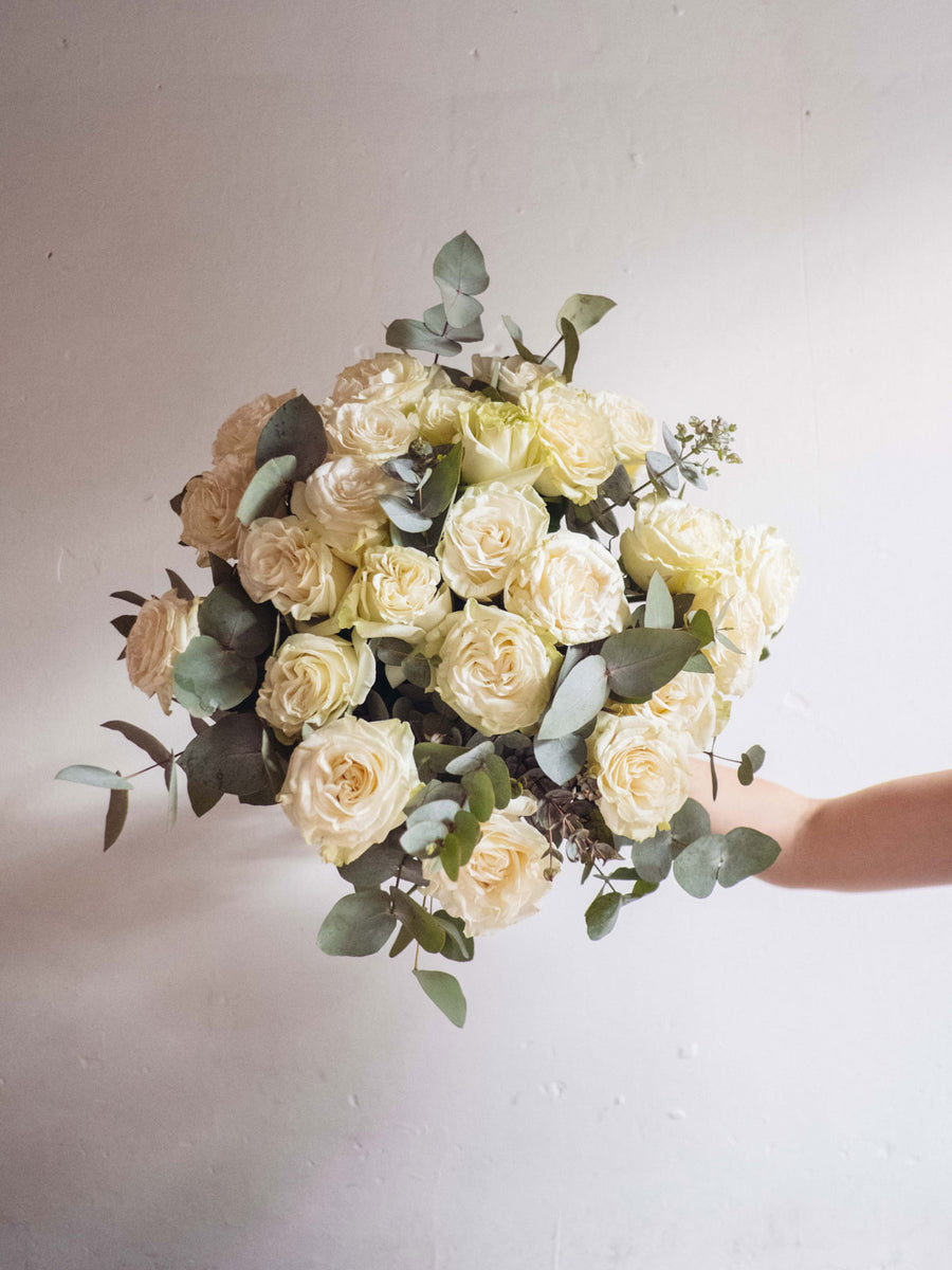 Rosas Blancas