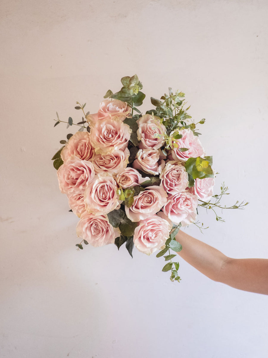 Rosa Rosadas